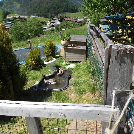 Baby- Und Kinderbauernhof Montaning Forstau  Exterior photo