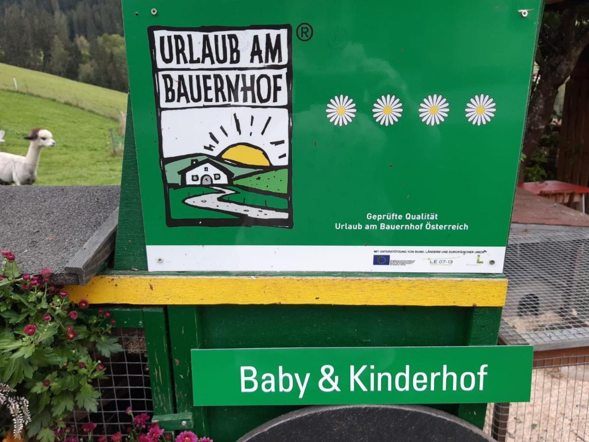 Baby- Und Kinderbauernhof Montaning Forstau  Exterior photo