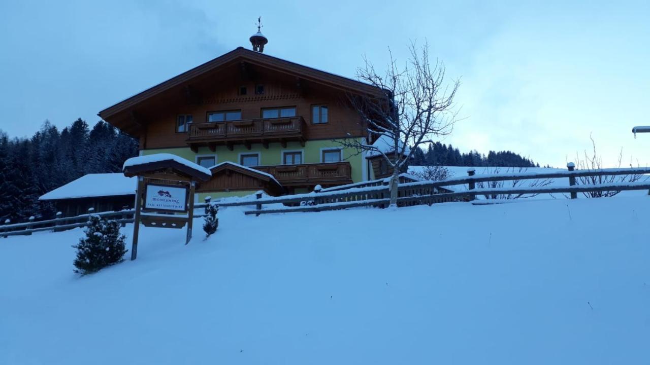 Baby- Und Kinderbauernhof Montaning Forstau  Exterior photo