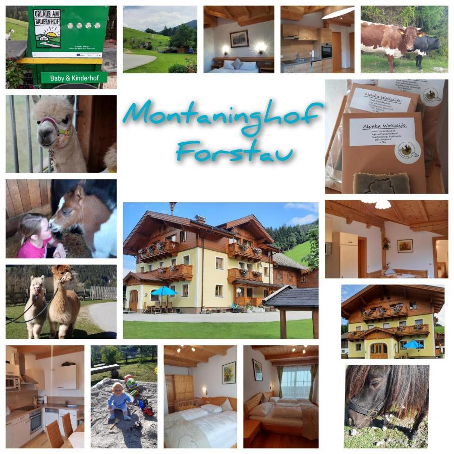 Baby- Und Kinderbauernhof Montaning Forstau  Exterior photo