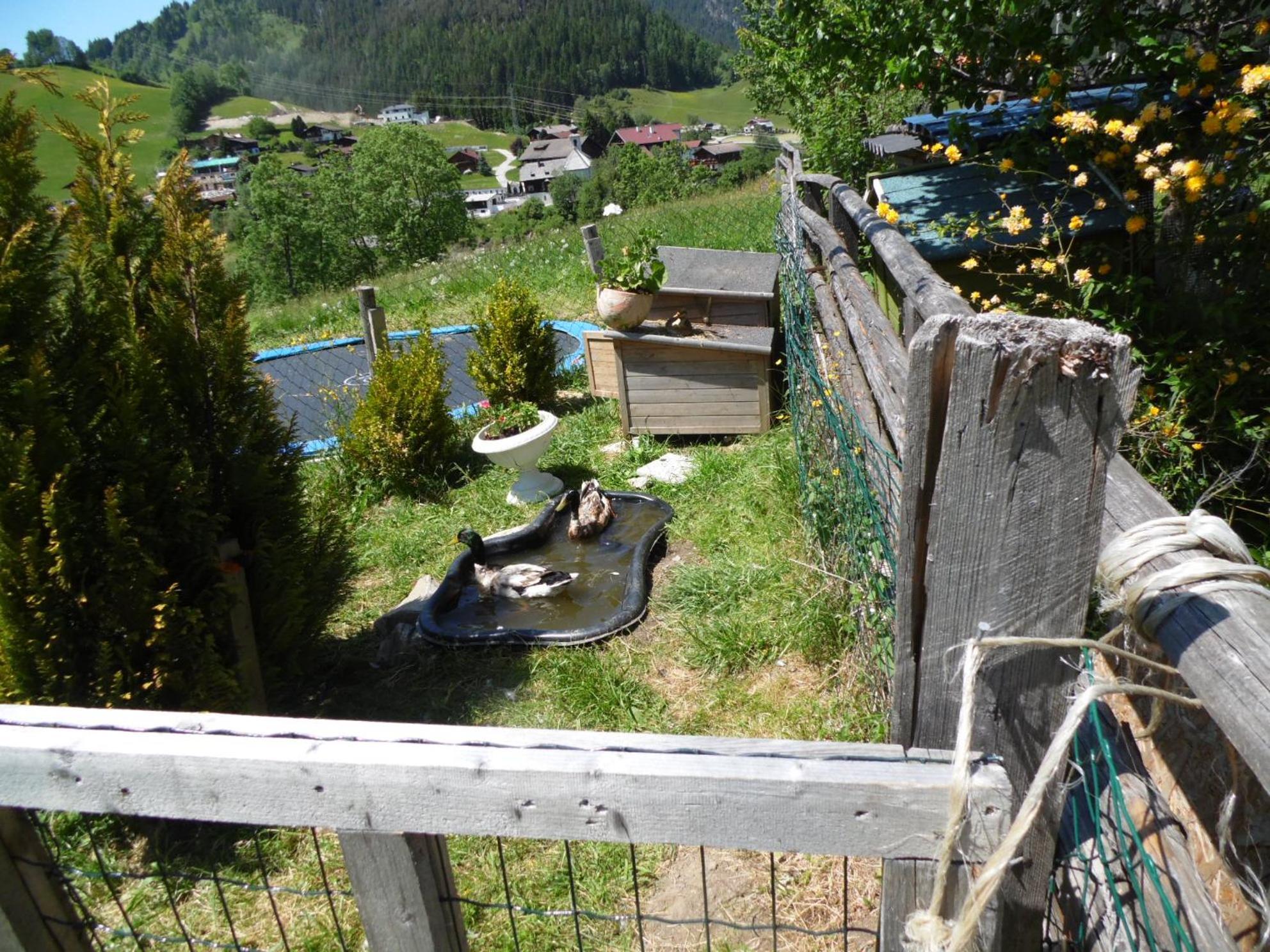 Baby- Und Kinderbauernhof Montaning Forstau  Exterior photo