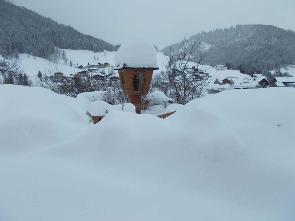 Baby- Und Kinderbauernhof Montaning Forstau  Exterior photo