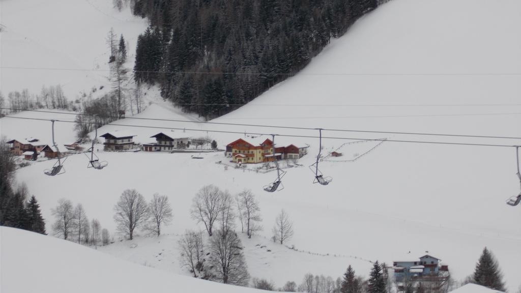 Baby- Und Kinderbauernhof Montaning Forstau  Exterior photo